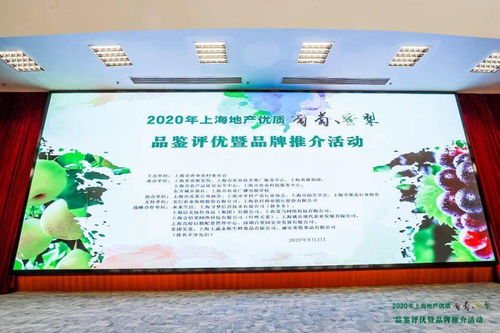 滬上佳果競芳華 地產(chǎn)葡萄蜜梨評優(yōu)活動圓滿落幕